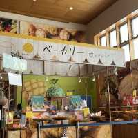 【北海道】道の駅サーモンパーク千歳の館内！