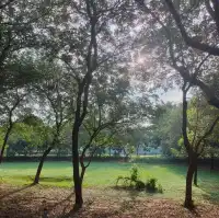 優美湖景-八掌溪親水公園