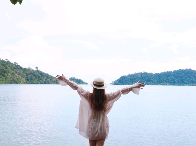 🌿 พาเดินชมเส้นทางธรรมชาติป่าโกงกาง