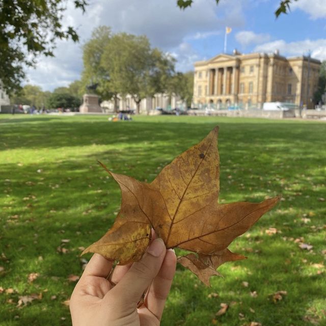 Hyde Park Unveiled: A  London Oasis