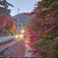 Autumn at Kawaguchiko