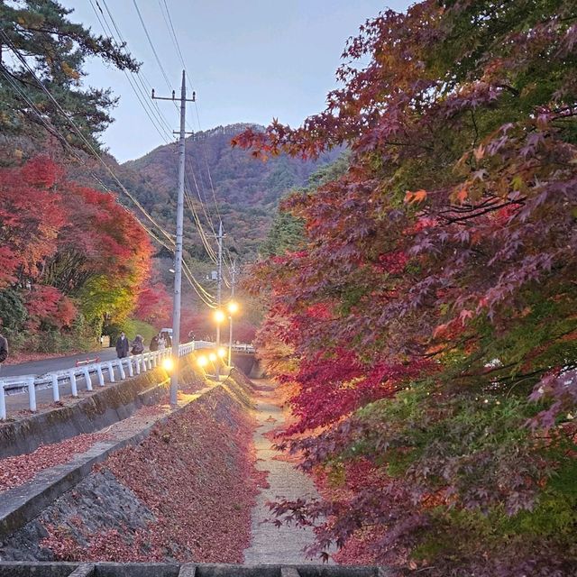 Autumn at Kawaguchiko