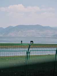香格里拉世外桃源 納帕海 絕美風景☁️
