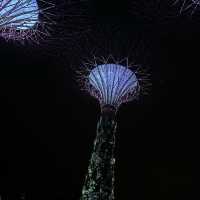 เที่ยว Gardens By The Bay ที่สิงคโปร์กันเถอะ 🇸🇬