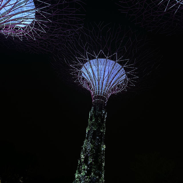 เที่ยว Gardens By The Bay ที่สิงคโปร์กันเถอะ 🇸🇬