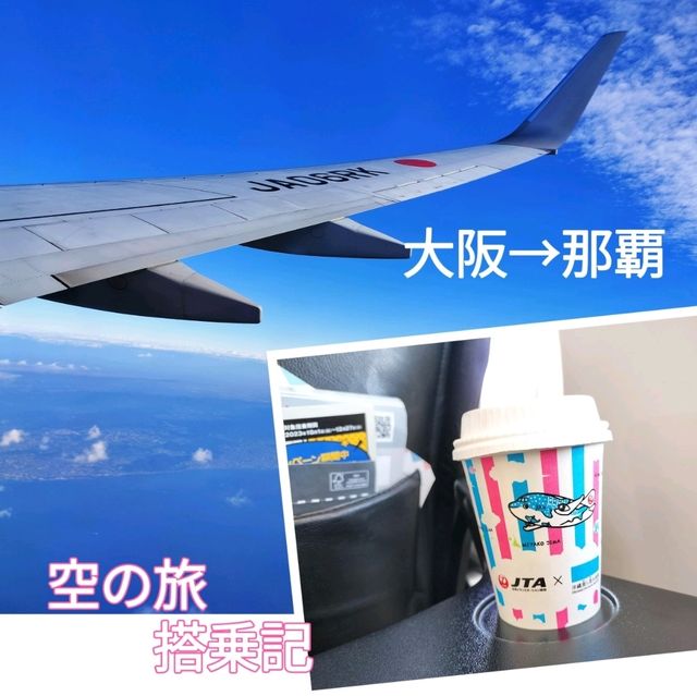 【搭乗記】大阪✈️那覇 JAL 737-800