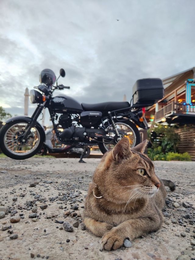 📍桃園最美夕陽！美哭了😭不用出國，也能出片🙌🏻
