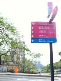 一條既輕鬆又CP值高之行山徑,你總等？