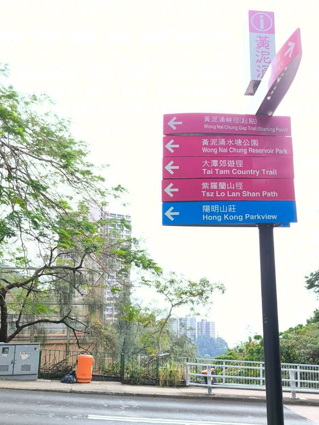 一條既輕鬆又CP值高之行山徑,你總等？