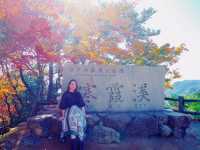【小豆島】絶景！日本3大渓谷のひとつ寒霞渓🍁