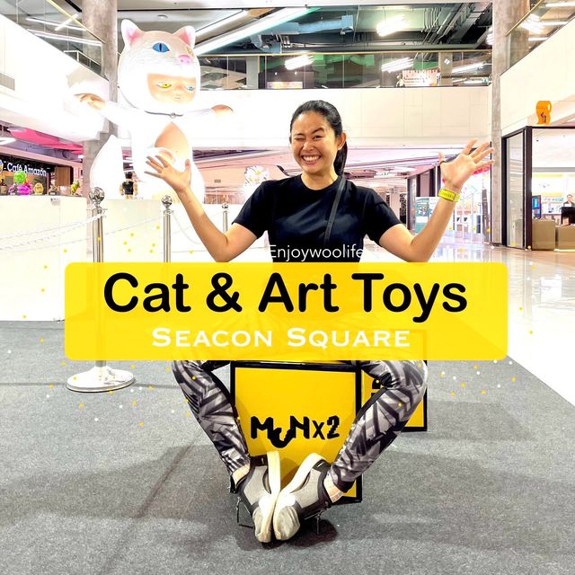Cats&toys ศิลปะขึ้นห้าง