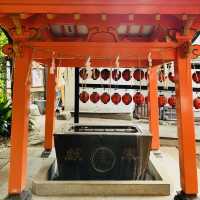 鳥居が鮮やか - 豊栄稲荷神社 -