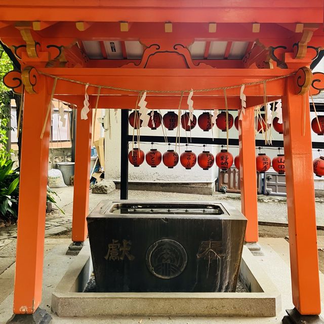 鳥居が鮮やか - 豊栄稲荷神社 -