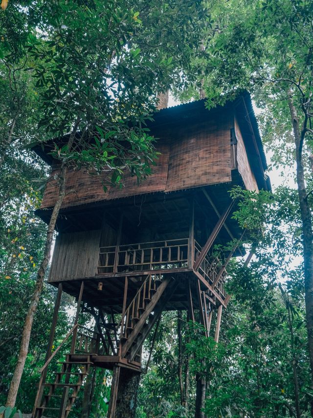 🇱🇦 ลาวใต้ เล่นซิปไลน์ ปีนหน้าผา เดินป่า