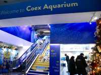 COEX Aquarium 🪸