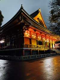 絶対行くべきライトアップ浅草寺