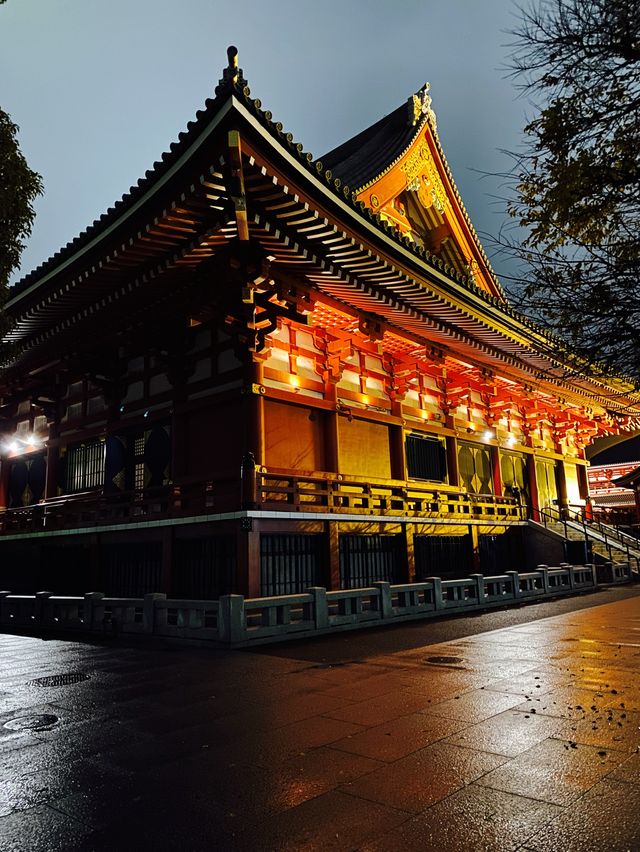 絶対行くべきライトアップ浅草寺