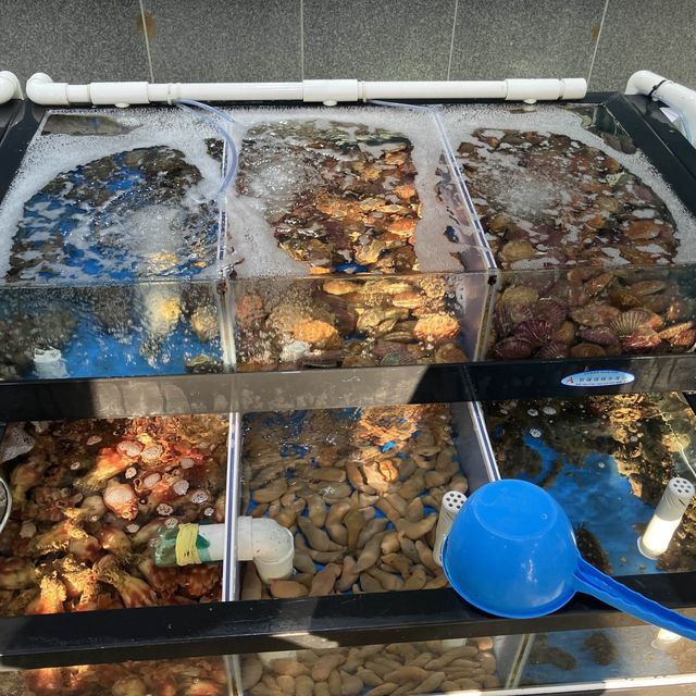 광양에서 즐기는 킹크랩! 신선한 해산물이 가득한 광양맛집! 수연수산!