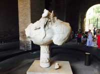 【イタリア】古代ローマを感じる！コロッセオ