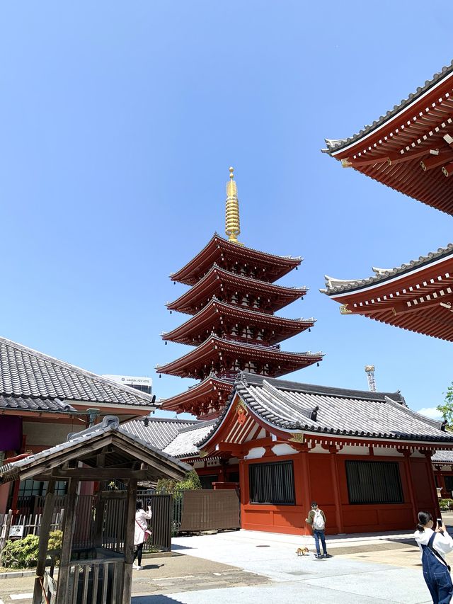 東京　東京観光　浅草仲見世通りだけじゃない！観音通り知ってます？