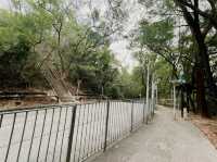 【魔鬼山】香港輕鬆行山路線篇