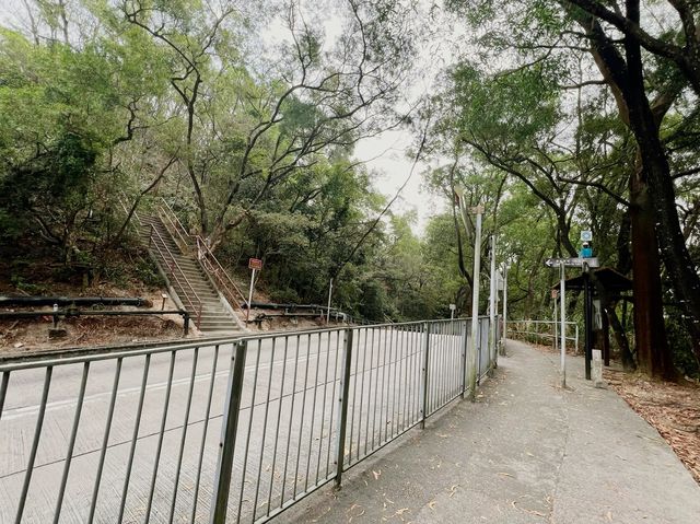 【魔鬼山】香港輕鬆行山路線篇