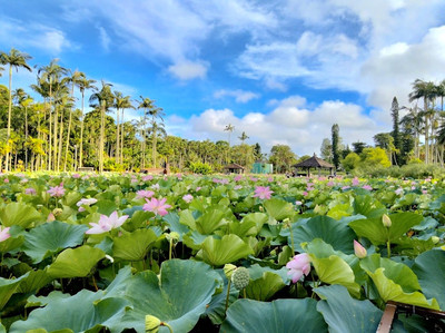 Southeast Botanical Gardens | Trip.com Okinawa