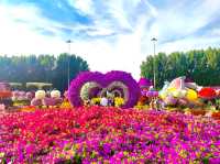 Dubai Miracle Garden