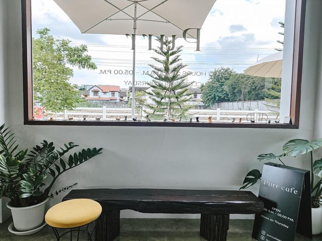 Purrcafebkk แจ้งวัฒนะ 14