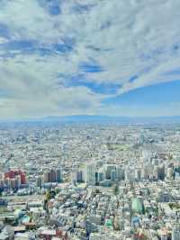 Tokyo Metropolitan Government Building 