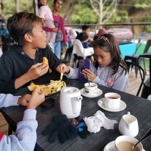 Holiday at Cameron Highland 