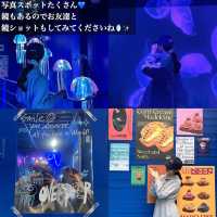 韓国/ソウル【延南洞】OVERdeep