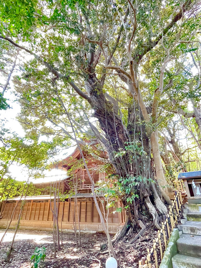 【子安神社/千葉県】伝統を長く受け継いでいる