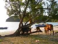 Beautiful Mantanani Island with Azure Sea