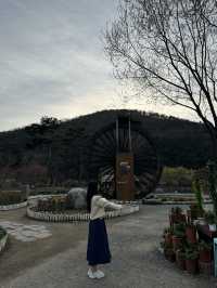튤립과 벚꽃을 함께 볼 수 있는 대구 송해공원 