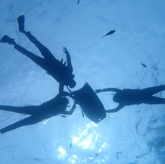 Okinawa Blue Cave Snorkeling 