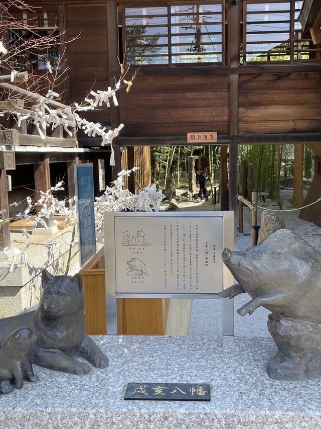 【埼玉県】花手水が美しい行田八幡神社を参拝！