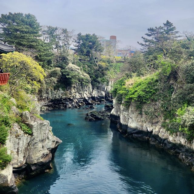 봄에 떠나는 제주여행, 용두암🪨🌼