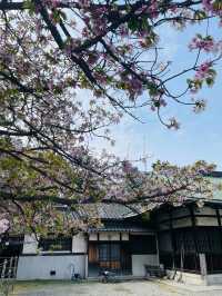 【大阪府】春の豊國神社で出世開運をお祈り！