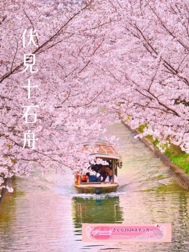 一度は乗りたい🚣‍♀️伏見十石舟☺️🌸🚣‍♀️