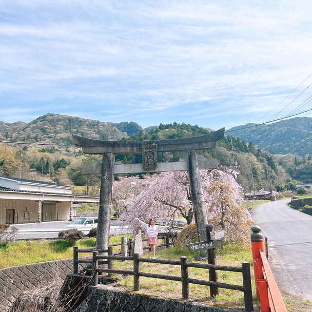 広島県　三原市　御調八幡宮