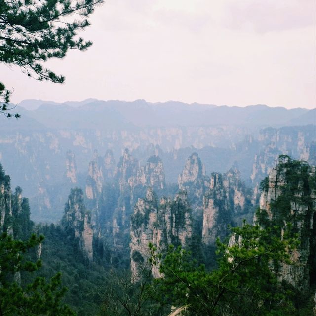 Day hike at Zhangjiajie National Park