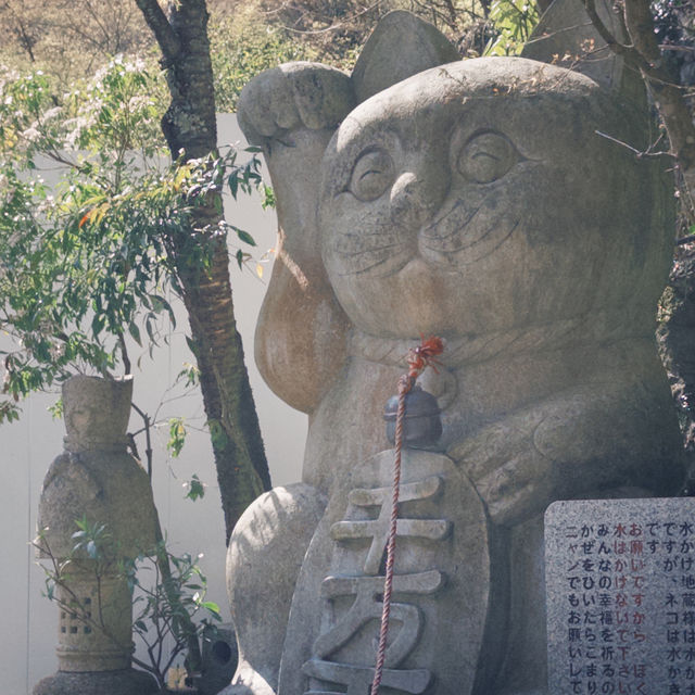 日本九州｜全世界最大的青銅臥佛🫶🏻