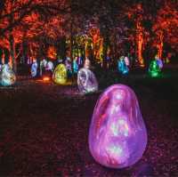 teamLab Botanical Garden Osaka