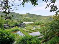 台北內湖景點-免門票-白石湖吊橋