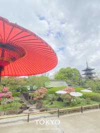 【東京】都心なのに風情あるぼたん園