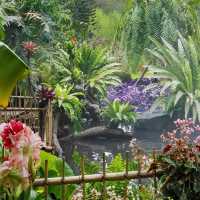 上海辰山植物園：綠色殿堂，世外桃源