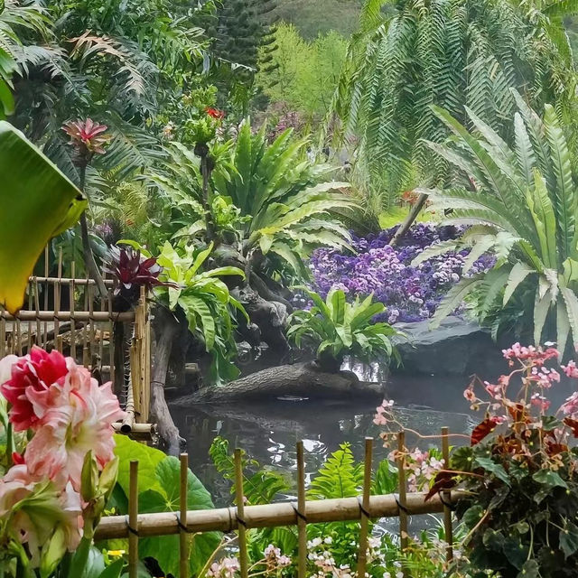上海辰山植物園：綠色殿堂，世外桃源