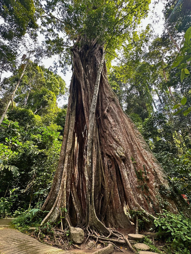 สถานที่สำคัญทางประวัติศาสตร์ อุโมงค์ปิยะมิตร