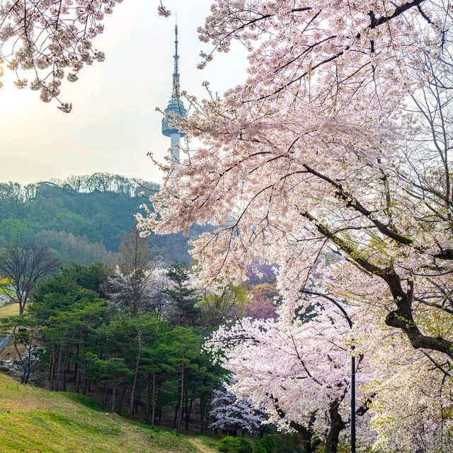 Namsan Mountain Park